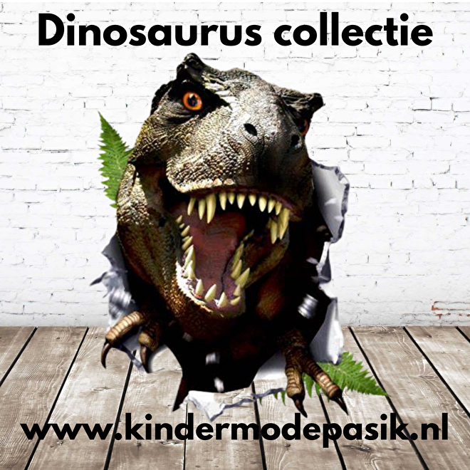 Dino 2024 kleding kind